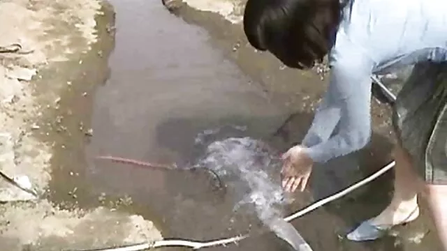 Tình dục không đăng ký  Vuốt ve âm hộ và tai phjm sec tự làm tình bằng máy rung.